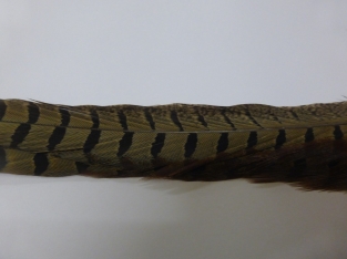 Pheasant Tail Natural  25 cm